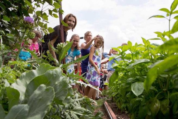 Kitchen Garden